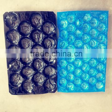 China gold supplier pp fruit tray with low price
