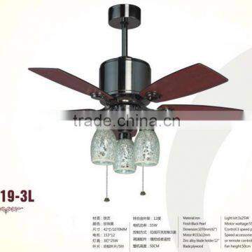 Ceilng Lamp Fans