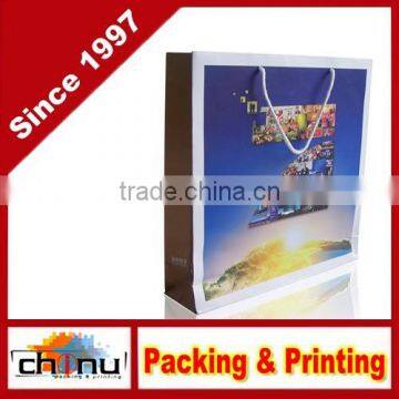 Art Paper White Paper, Paper Gift Shopping Promotion Bag (210044)