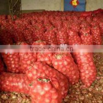 importers of dehydrated onion