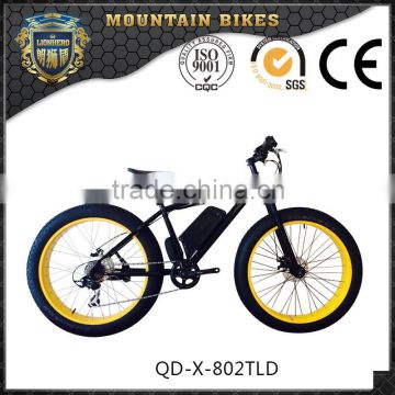 New style and hot selling fat tyre electric bicycle made in China