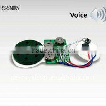 Recording Voice chip