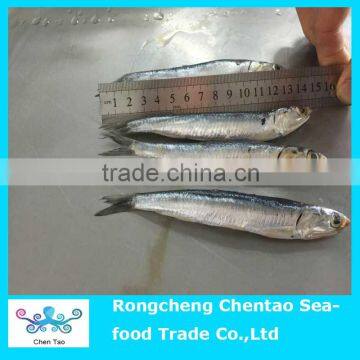 fresh anchovies that can be made caned anchovies and also can be raw salted anchvoies