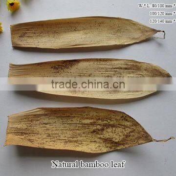 dried Bamboo sheath