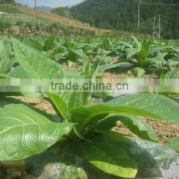 Chitosan organic tobacco fertilizer