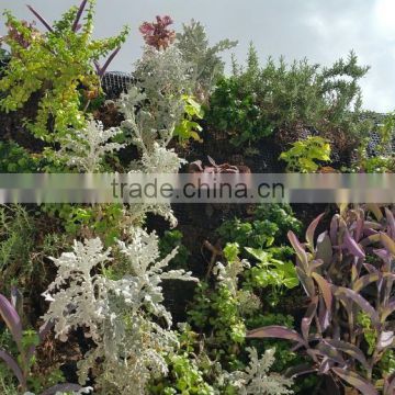 3mx1m decorative home decor green wall cheapest (80X20cm)ornamental plant artificial flower wall KHZ02