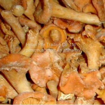 Edible Mushroom Fungus Frozen Chanterelle