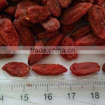 BERRY FRUIT 380, TIBET GOJI BERRIES, HIMALAYA GOJI BERRIES, NINGXIA ZHONGNING GOJI MANUFACT