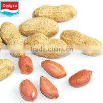 chinese organic raw peanut