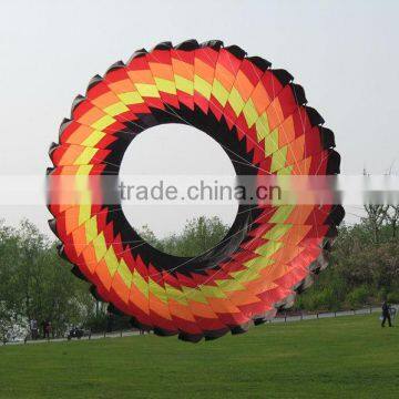 ring kite
