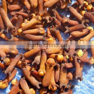 SUPPLY CLOVES SPICES (Call: +84 1687264621)