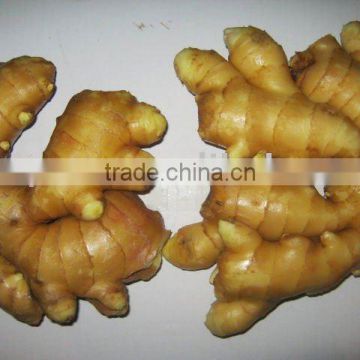High quality fresh ginger (with pictures)