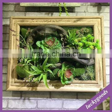 wholesale handmade decorative scculent photo frame for showcase decoration