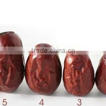 2016 Chinese red jujube/fresh jujube fruit