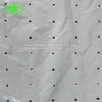 PE Agricultural mulch film with micro holes