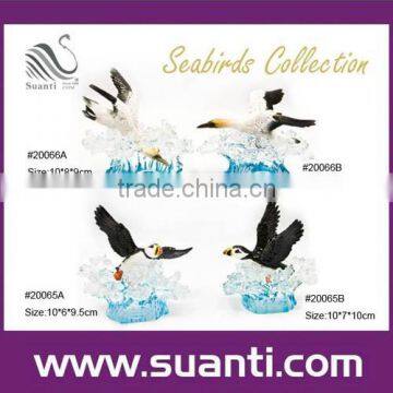 Seabirds Colltction