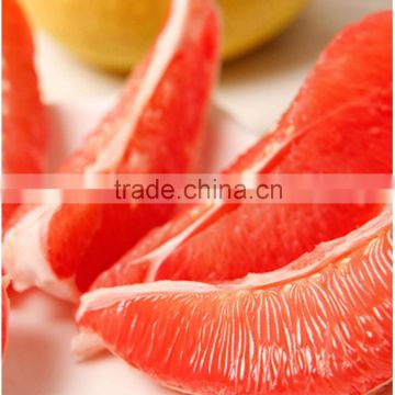 buy good for health juicy fruit cheapest pomelo(7-12pcs)