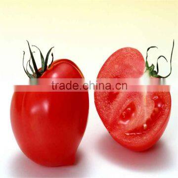 Hot Sell Canned Tomato Paste 70g, 210g, 400g, 800g, 2.2kg, 4500g