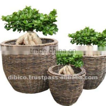 2012 Indoor Flower Planters/ basket natural materials