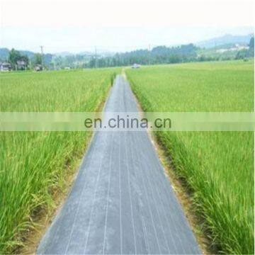 fabric polypropylene ground cover uv protected weed mat