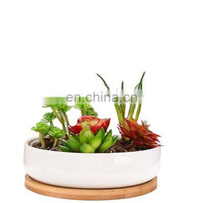 Original Large Succulent Planter Ribbed Ceramic Pot For Indoor Plant