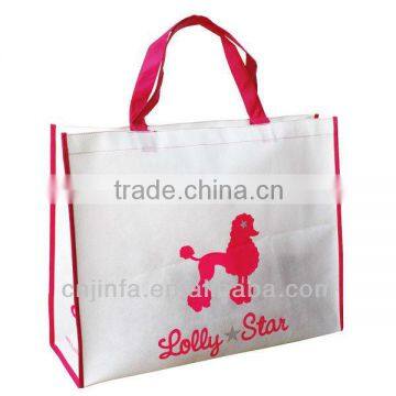 Eco-friendly Non woven shopping bag