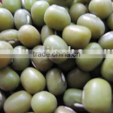 Green Mung beans/green bean
