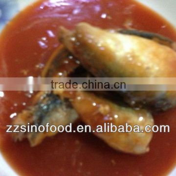 Types of Canned Mackerel in Tomato Sauce in Brine