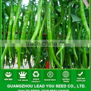 AP041 Bingshan f1 hybrid long red pepper seeds in agriculture