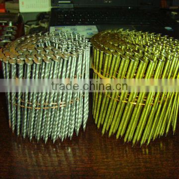 galvanized coil nails(made in china)