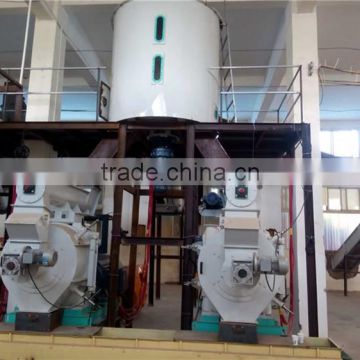 Professional woodchips wood pellet line manufacturer made in China