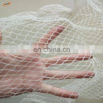 Manufacture Invisible Trap Nylon Bird Netting,Anti Bird Net,Bird Netting For Sale