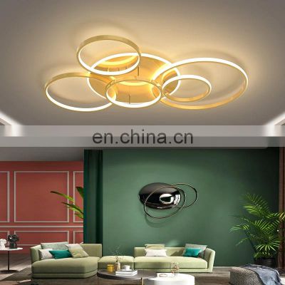 Gold Ceiling Lighting For Bedroom Indoor Lamps Parlor Foyer Lamp Modern Acrylic Ceiling LED Lamp
