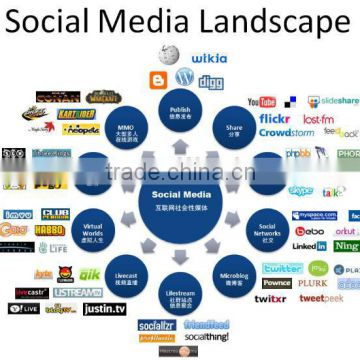 Professional internet marketing, facebook likes/fans add,social web promotion