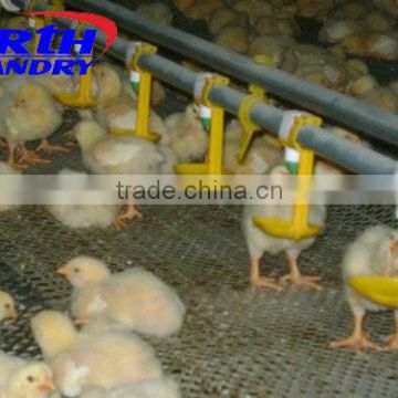 Chicken poultry farm equipment feeders and waterers for chickens