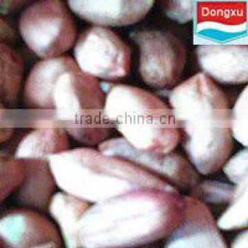 bulk raw peanuts