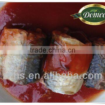Canned Mackerel From Manufactory