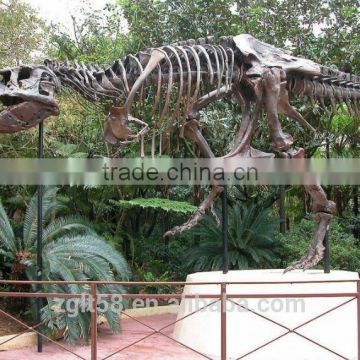 High quality Hot sale life size Dinosaur Fossil