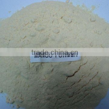 Vacuum Freeze Dried Mango " Nam Duk Mai " Powder bulk packs from Thailand