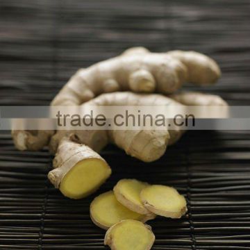 china mature ginger