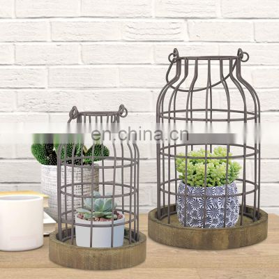 Home Decoration Plant And Pot Organizer Metal Cloche Candlestick Holder With Wood Base