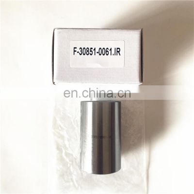 China Hot sales Wholesale Needle Roller Bearing F-30851-0061.IR Printing Machine Bearing F-30851-0061.IR bearing in stock