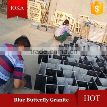 Polished Butterfly Blue Granite Slab