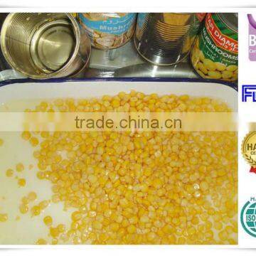 Top quality whole kernel sweet corn