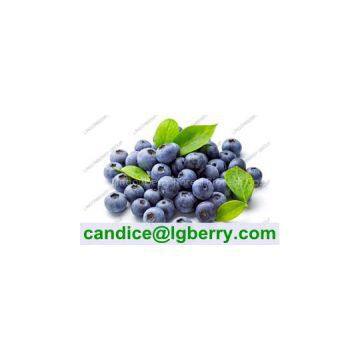 Natural juice powder addtive blueberry juice powder