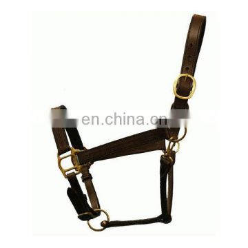 fancy leather horse halters