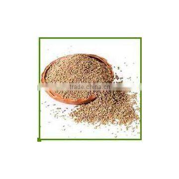 Cumin Seeds