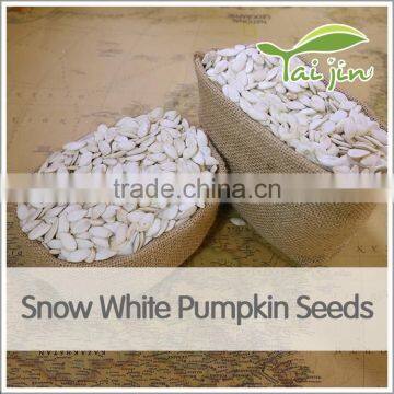 inner mongolia best quality snow white pumpkin seed