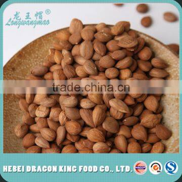wholasale price dried bitter apricot seed for medicine