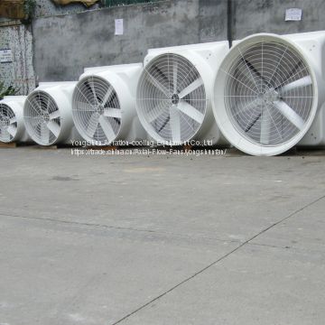 Hot sale Industrial fan/Exhaust Fan/Negative pressure fan